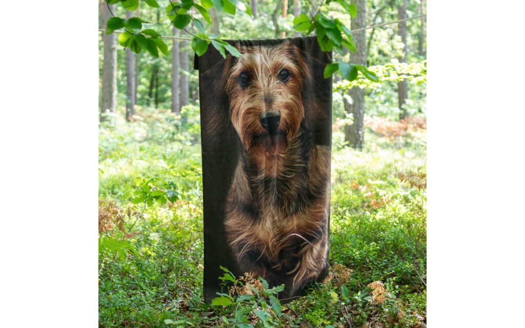 Medvilninis rankšluostis TAKSAS